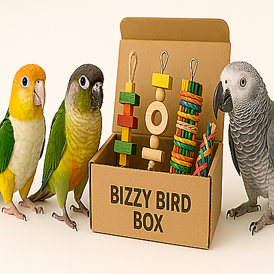 The Bizzy Bird Box