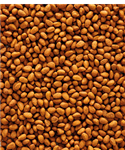 VERSELE-LAGA NUTRIBIRD G14 ORIGINAL PELLETS FOR BIG PARAKEETS