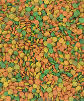 VERSELE-LAGA NUTRIBIRD G14 TROPICAL PELLETS FOR BIG PARAKEETS