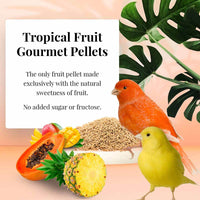 LAFEBER GOURMET PELLETS TROPICAL FRUIT CANARY