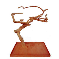 JAVA WOOD TREE