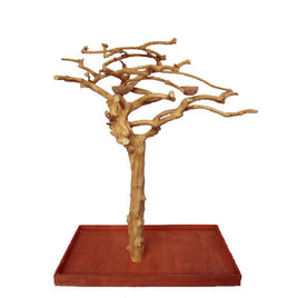 JAVA WOOD TREE
