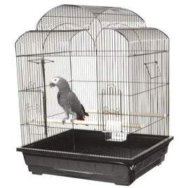 VICTORIAN CAGE IN BLACK