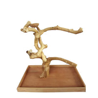JAVA TABLE TOP PLAY STAND