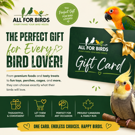 Carte-cadeau TOUT POUR LES OISEAUX