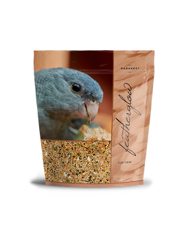 VOLKMAN FEATHERGLOW PARAKEET