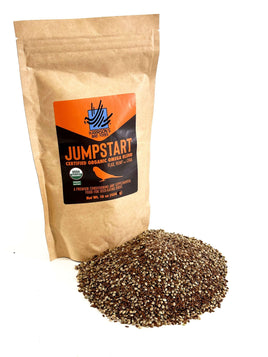 HARRISON JUMPSTART OMEGA