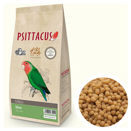 PSITTACUS MINOR