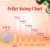 LAFEBER GOURMET PELLETS TROPICAL FRUIT CANARY