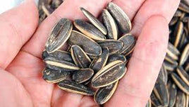 SUNFLOWER SEEDS