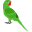 All For Birds logo