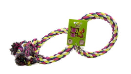 INTERLOCKING DOUBLE ROPE SWING