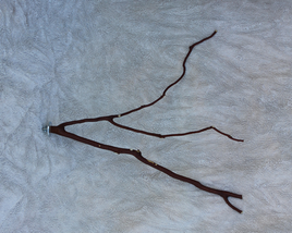 MANZANITA BRANCH PERCH NATURAL