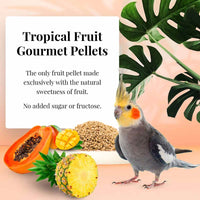 LAFEBER TROPICAL FRUIT PELLETS FOR COCKATIEL