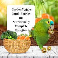 LAFEBER GARDEN VEGGIE NUTRI-BERRIES FOR PARROT