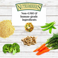 LAFEBER GARDEN VEGGIE NUTRI-BERRIES FOR PARROT