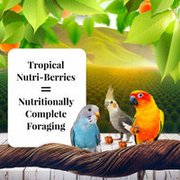 LAFEBER SUNNY ORCHARD NUTRI-BERRIES FOR COCKATIEL