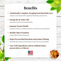 LAFEBER SUNNY ORCHARD NUTRI-BERRIES FOR COCKATIEL