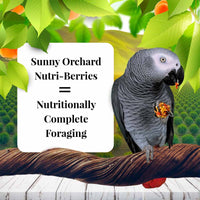 LAFEBER SUNNY ORCHARD NUTRI-BERRIES FOR PARROTS