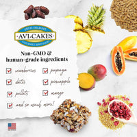 LAFEBER FRUIT DELIGHT AVI-CAKES FOR SMALL BIRDS