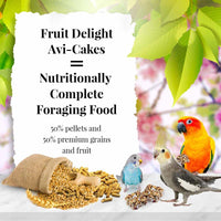 LAFEBER FRUIT DELIGHT AVI-CAKES FOR SMALL BIRDS