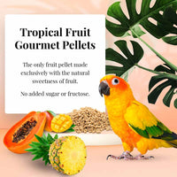 LAFEBER TROPICAL FRUIT PELLET CONURE