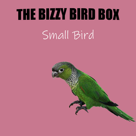 THE BIZZY BIRD BOX SMALL