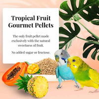 LAFEBER TROPICAL FRUIT PELLETS PARAKEET