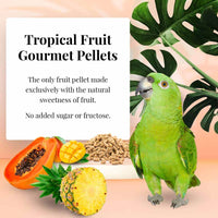 LAFEBER TROPICAL FRUIT PELLETS PARROT